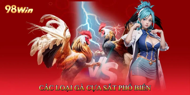 Các Loại Gà Cựa Sắt Phổ Biến